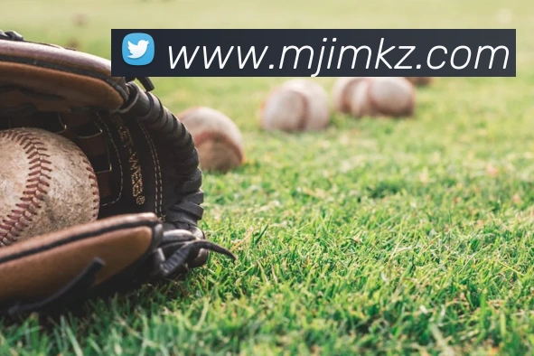 多终端兼容